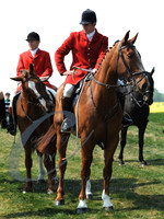 picture-8