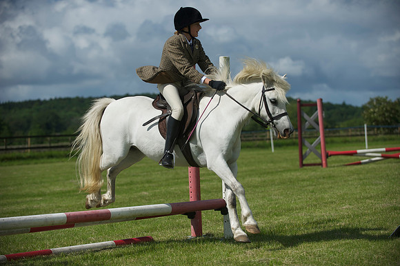 SOHS PC Summer Show at BCA 17th June 2012