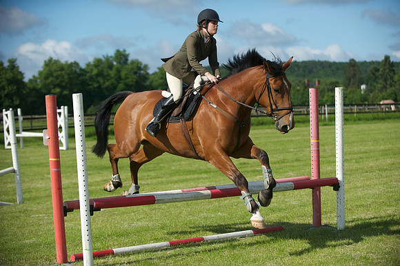 SOHS PC Summer Show at BCA 17th June 2012