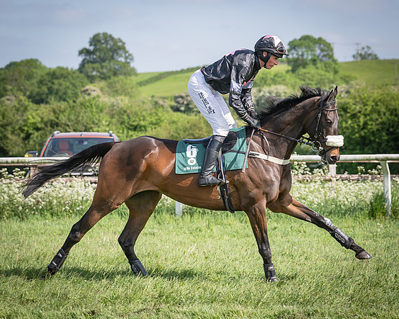Race 5 - Restricted (42 of 116)