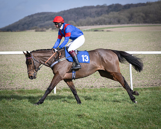 Race 3 - The Maiden Conditions (47 of 214)