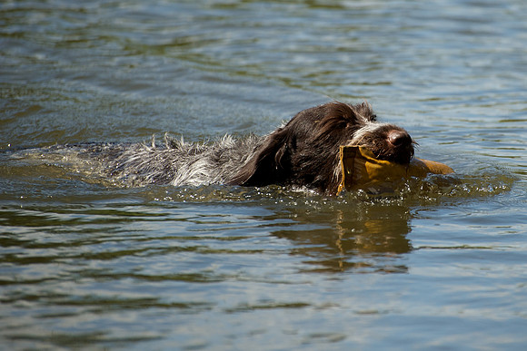 WCGB-04AUG-2013 Water Training Day 153