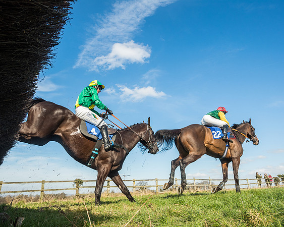 Race 1 - Open Maiden Division 1 (135 of 170)