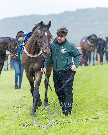 Race 1 - Owner-Trainer Conditions  (26 of 392)
