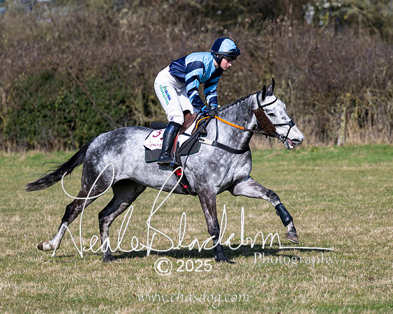 Race 1 - Maiden (38 of 188)