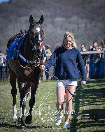 Race 2 - The Maiden (5 of 118)