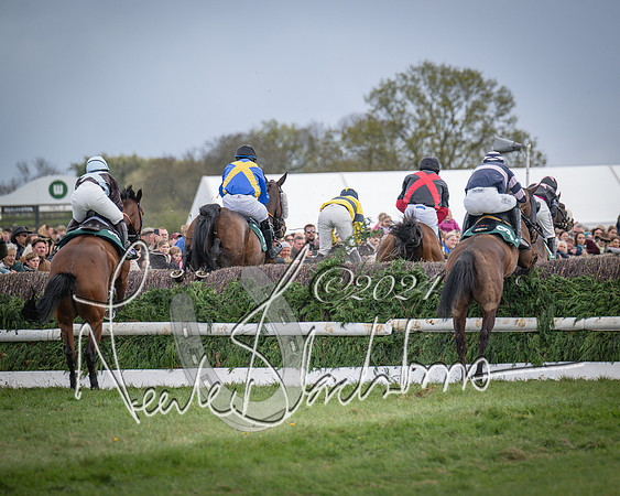 Race 3 - 5 years old and Over Maiden Race (56 of 130)