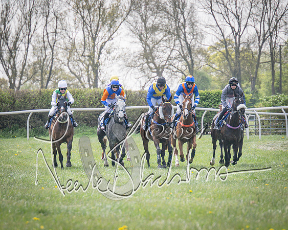 Race 2 - The Elliott of London maiden race (36 of 137)