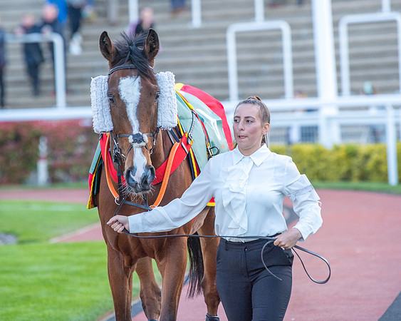 Race 7 - Glos Hussars  (42 of 245)