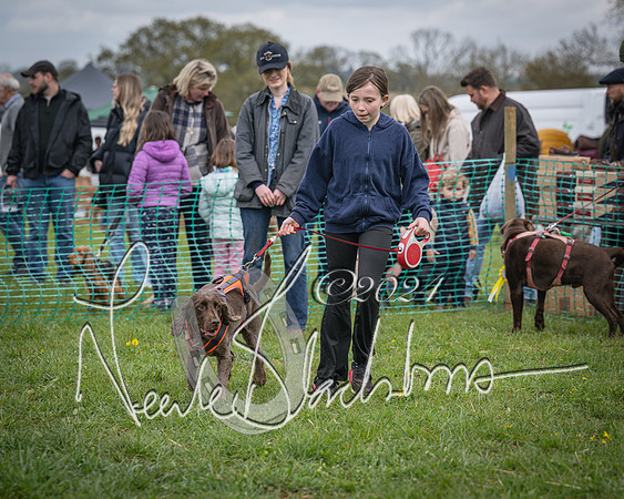 Bicester - Dog Show (41 of 106)