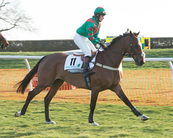 Race 7 - Novice Riders Race (4 of 145).jpg