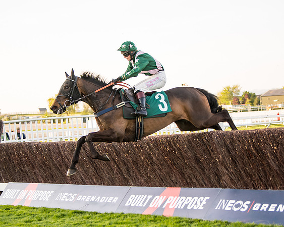 Race 5 - ITM Mares'  (37 of 181)