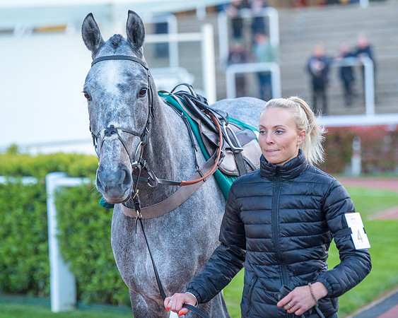 Race 7 - Glos Hussars  (48 of 245)