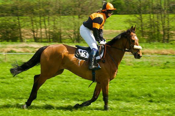 Race 3 - Aga Ladies Open 12