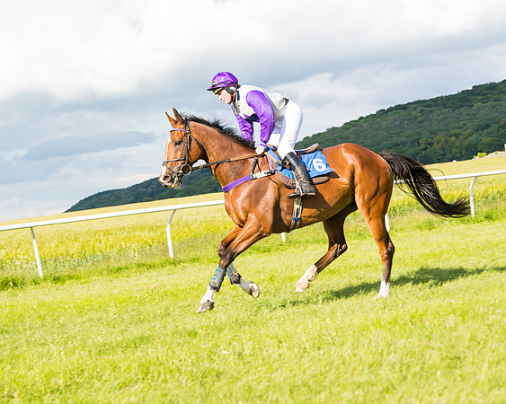 Race 6 - Open Maiden (60 of 227)