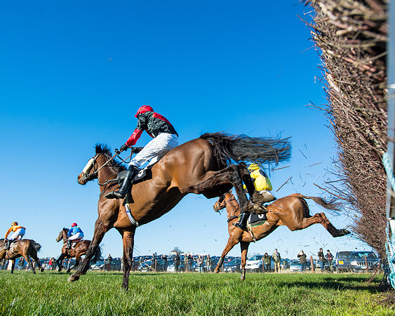 Race 6 - Restricted  (190 of 291)