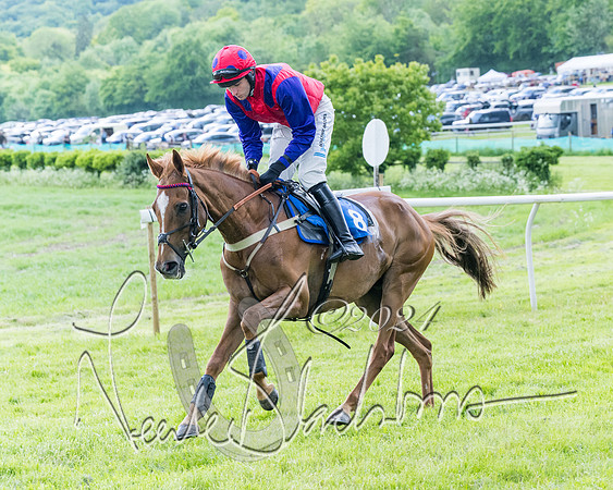 Race 3 - Conditions (96 of 367)