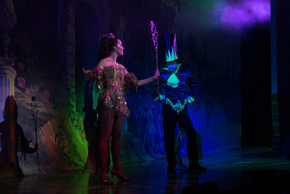 Swan Panto 2017