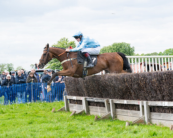 Race 2 - Veteran Horse (19 of 80)