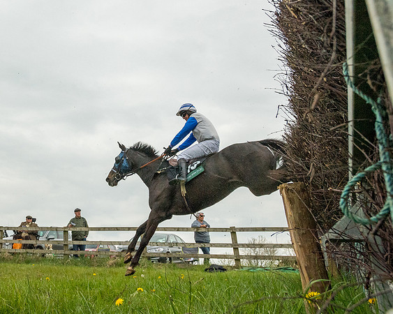 Race 2 - Jockey Club ROR veteran Horse (70 of 104)