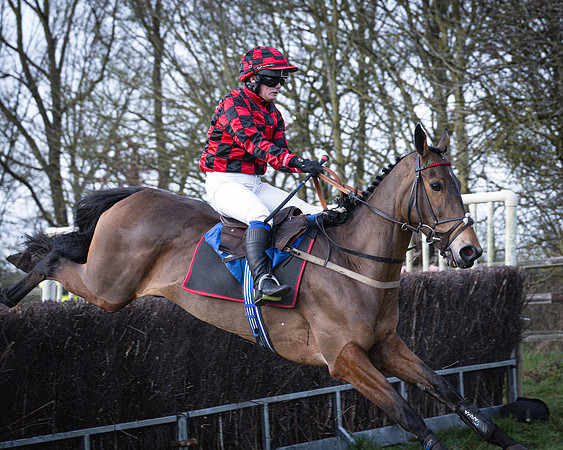 Race 2 - Maiden (95 of 145)