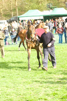 Race 7 - Restricted 7