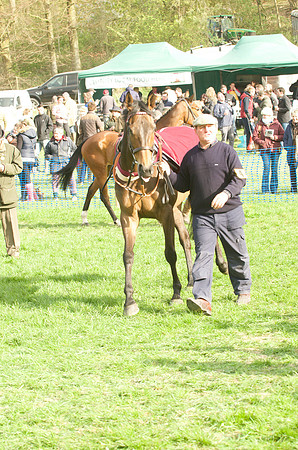 Race 7 - Restricted 7