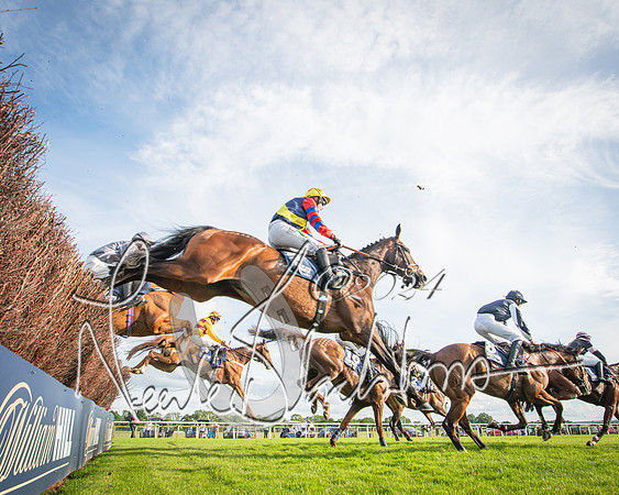 Race 3 - The pointtopoint.co.uk champion novices’ Hunter Chase (70 of 140)