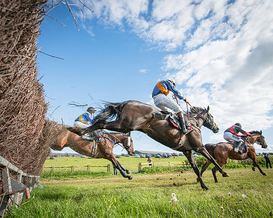 Race 7 - Walnut Hill PPORA club members maiden (70 of 104)