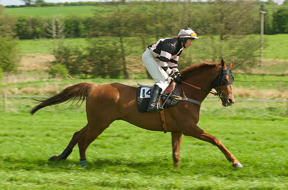 Race 3 - Aga Ladies Open 14