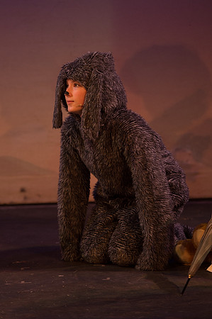 Peter Pan 18feb (18 of 426).jpg
