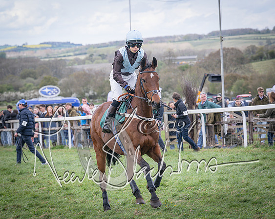 Race 3 - 5 years old and Over Maiden Race (27 of 130)