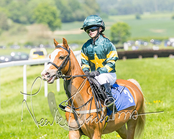 Pony Races  (13 of 141)