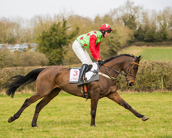 Race 2 - Open Maiden (19 of 128)
