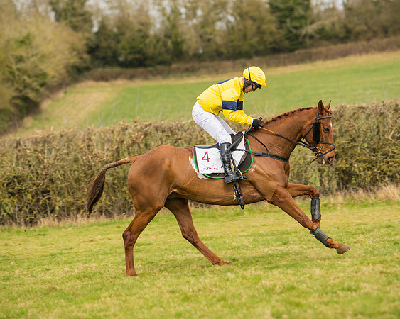 Race 2 - Open Maiden (12 of 128)
