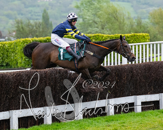 Race 5 - Mares Open  (50 of 129)
