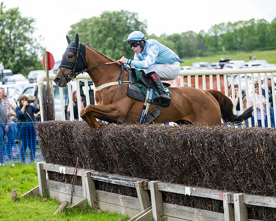 Race 5  - Maiden  (33 of 84)