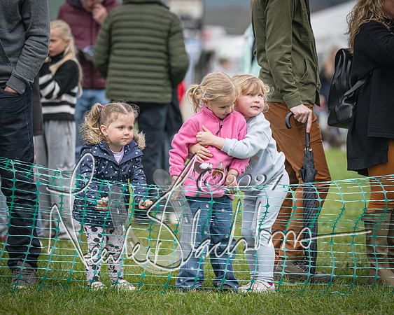 Bicester - Dog Show (61 of 106)