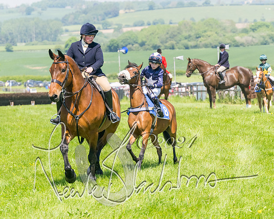 Pony Races  (6 of 141)