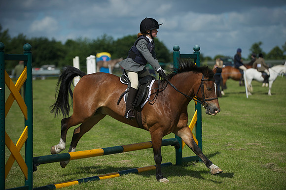 SOHS PC Summer Show at BCA 17th June 2012
