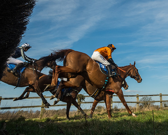 Race 3 - Ladies Open (71 of 156)