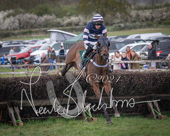 Race 3 - 5 years old and Over Maiden Race (51 of 130)
