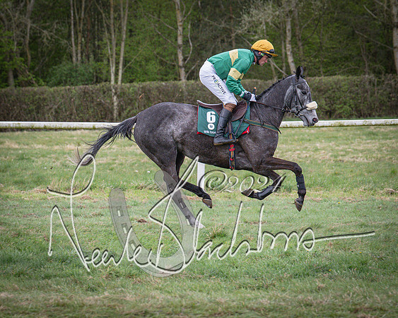 Race 7 - The Jockey Club maiden race for Mares and Fillies only (10 of 96)