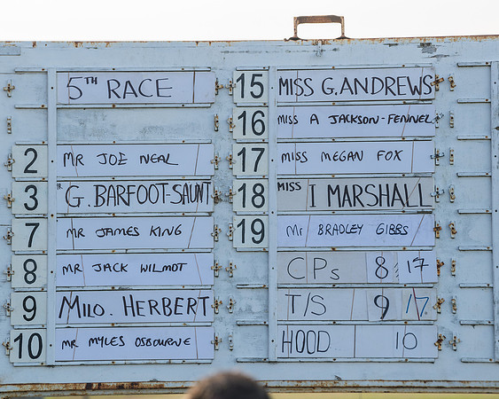 Race 5 - Restricted (1 of 146)