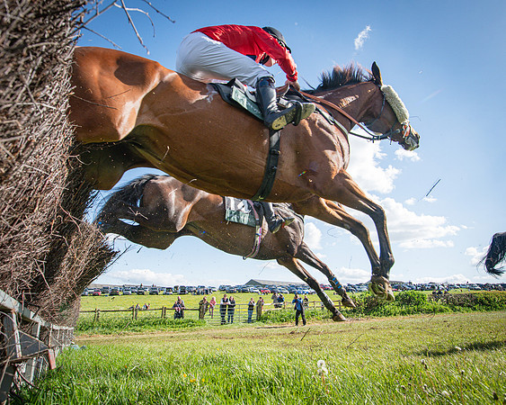 Race 5 - F N Pile and Sons PPORA Novice Riders (84 of 151)