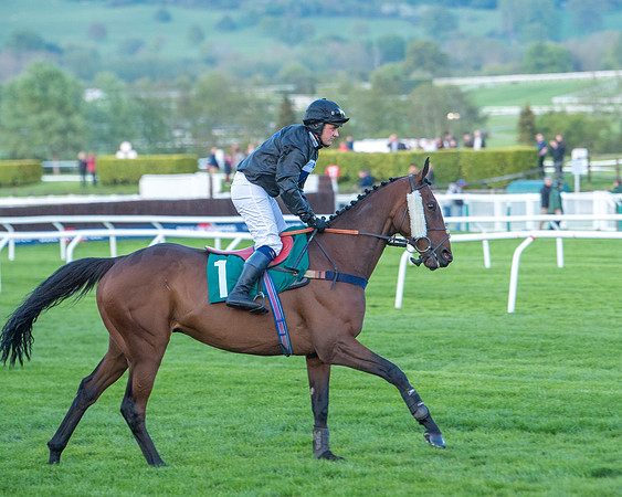 Race 7 - Glos Hussars  (55 of 245)