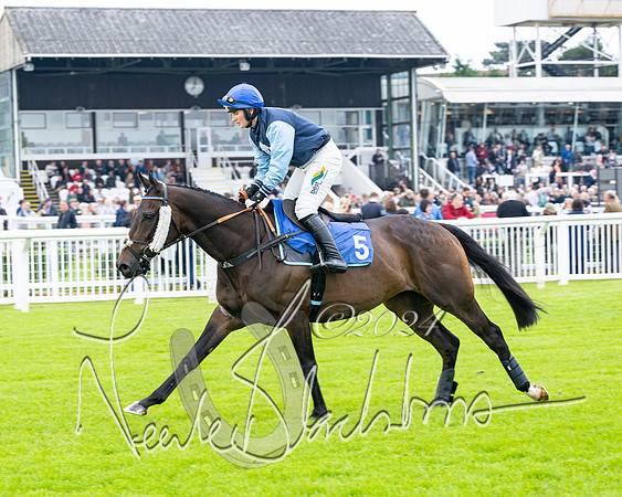 Race 3 - John Corbet Cup  (13 of 108)