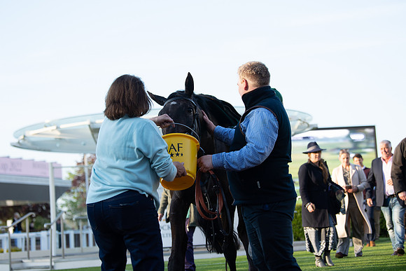 Race 5 - ITM Mares'  (109 of 181)