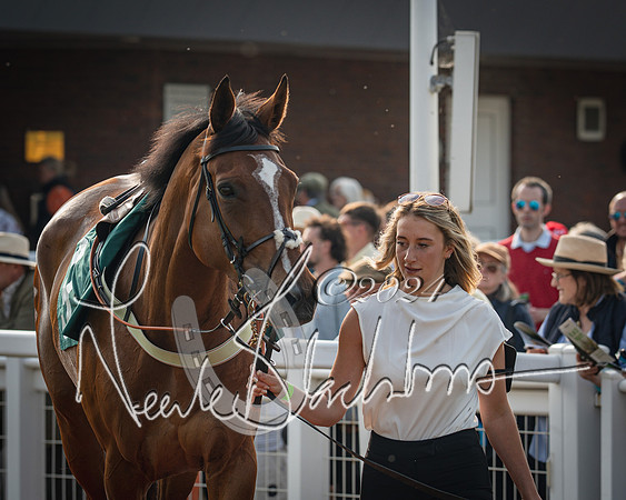 Race 2 - The Venatour sports travel intermediate point to point hunters’ steeplechase 5 year olds and over 3m2f (26 of 163)