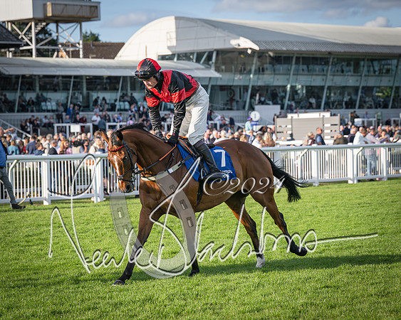 Race 4 - Peretemps Stratford Foxhunters (31 of 168)